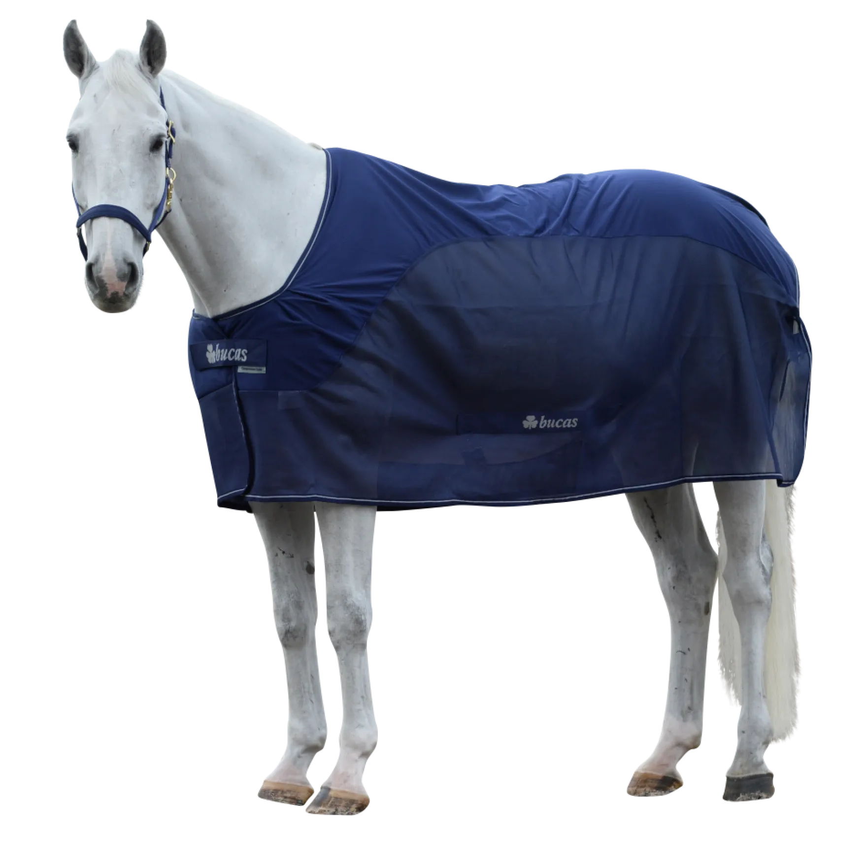 Abschwitzdecke Competition Cooler
