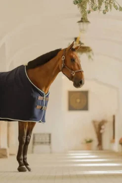 Abschwitzdecke Show Vegan Wool, Fleecedecke, Transportdecke
