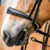 Aufziehriemen für Aufziehtrense, Leder