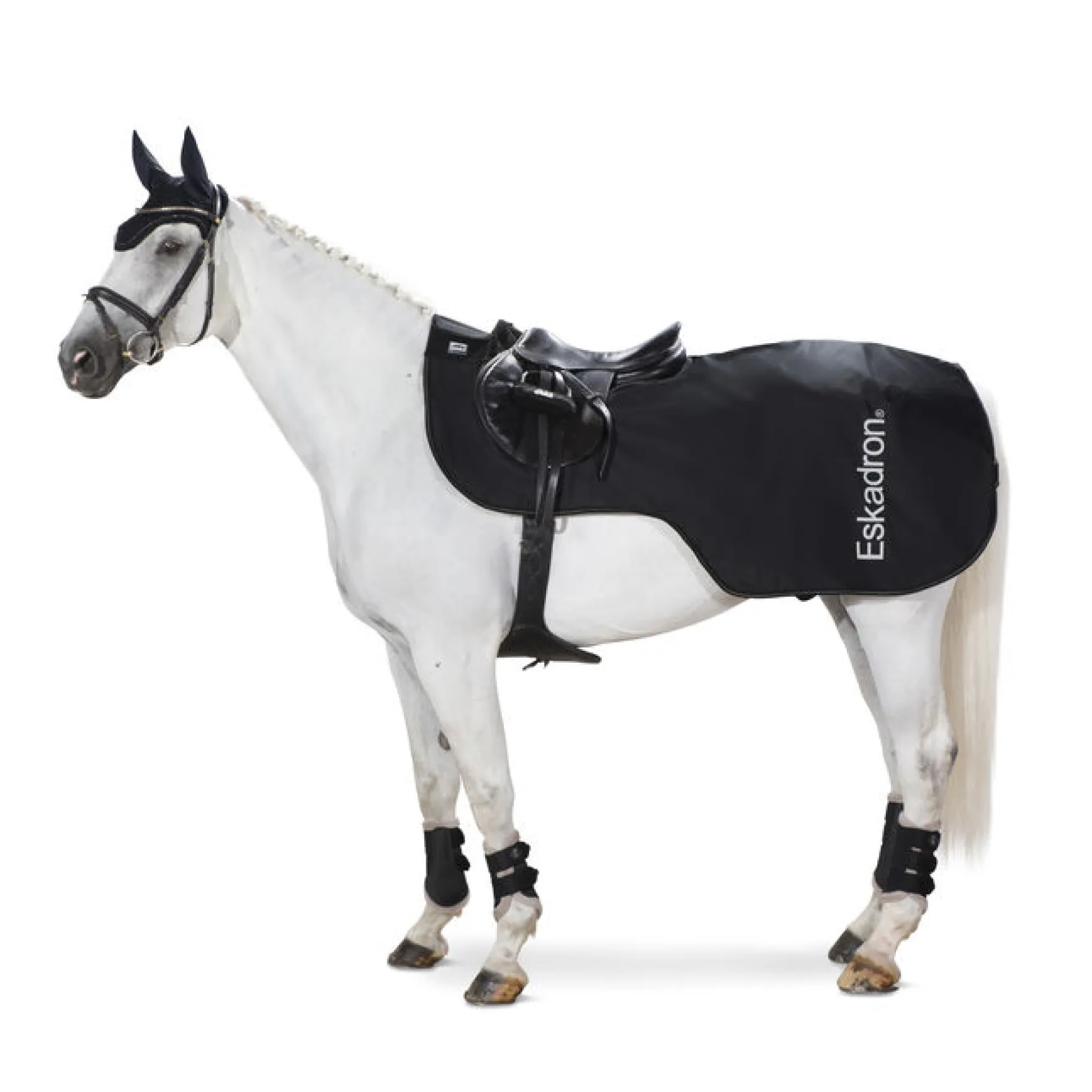 Ausreitdecke Softshell