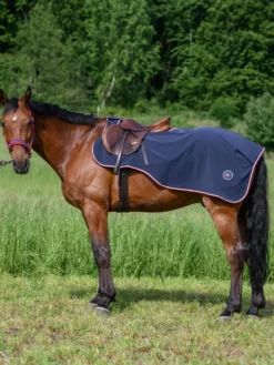 Ausreitdecke Springfield, 0 g, wasserabweisend