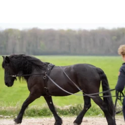 Bodenarbeitszügel IRHFree Ride