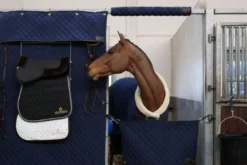 Boxentürverschluss Stable Guard