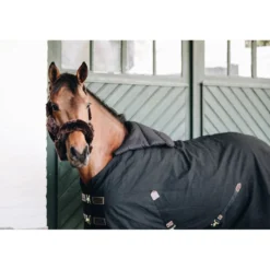 Brustschutz Horse BIB Sommer