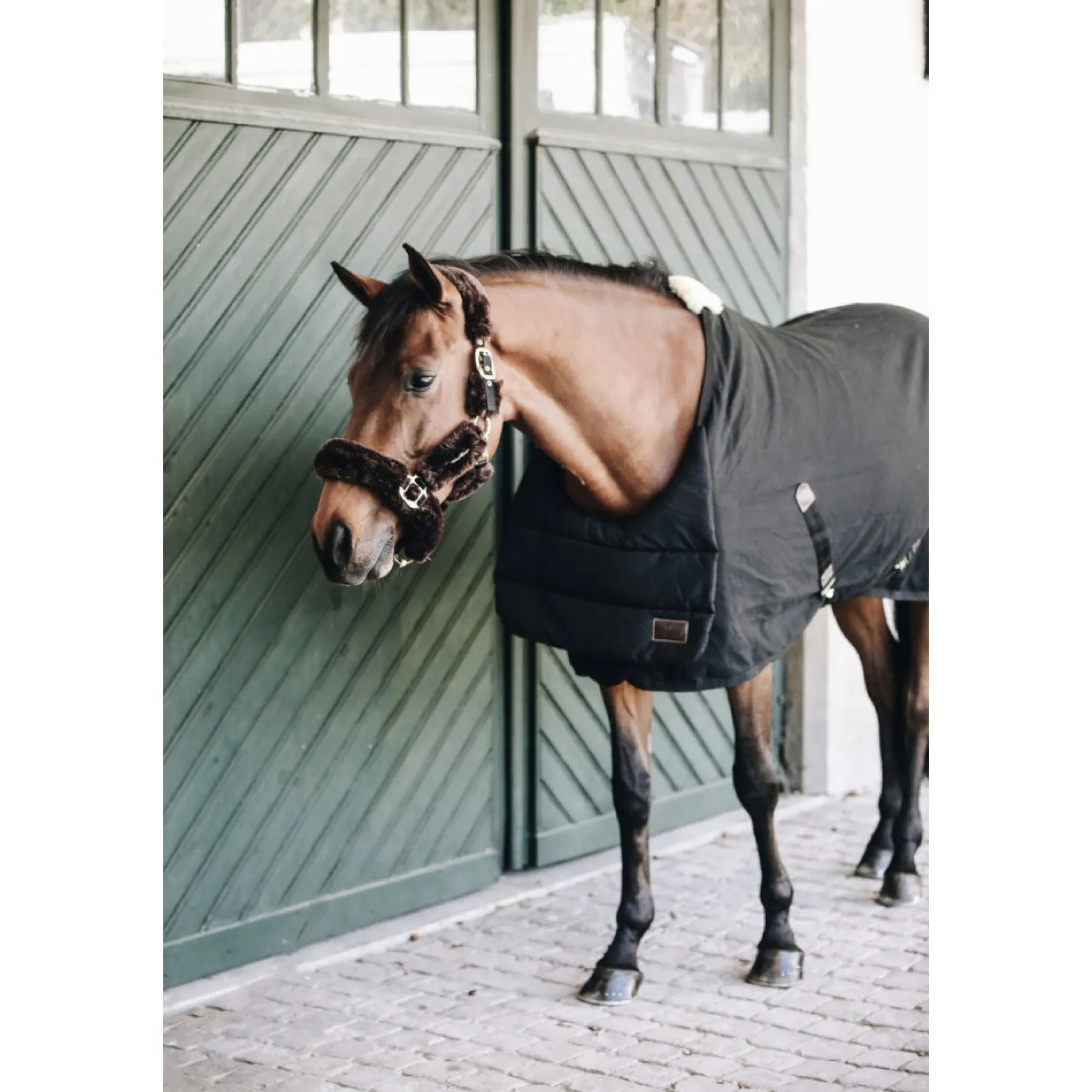 Brustschutz Horse BIB Sommer