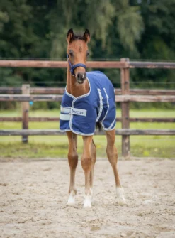 Decke Foal Turnout, 50 g
