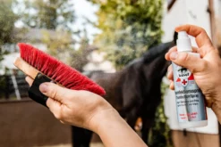 Desinfektionsspray, Flächendesinfektionsspray
