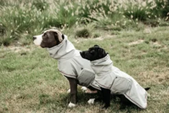 Dog Raincoat, Regenmantel, Hundemantel