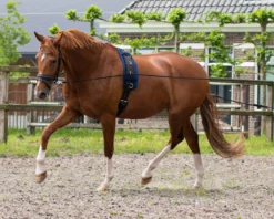 Doppellonge, Longierleine, Longe Doppelt
