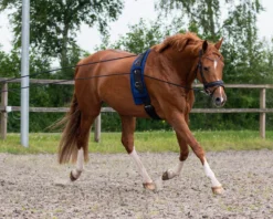 Doppellonge, Longierleine, Longe Doppelt