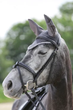 Fliegenhaube, Fliegenmütze, Fliegenohren