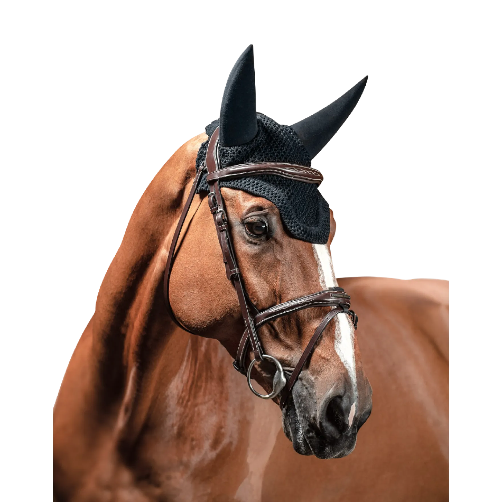 Fliegenhaube Soundless Dave, Fliegenmütze, Fliegenohren