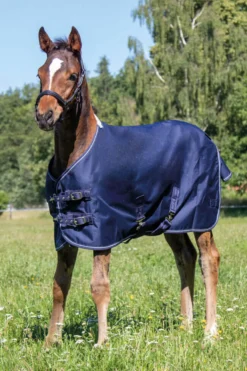 Fohlendecke Professional, 0 g, mit Polarfleece, Outdoordecke