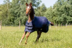 Fohlendecke Professional, 0 g, mit Polarfleece, Outdoordecke