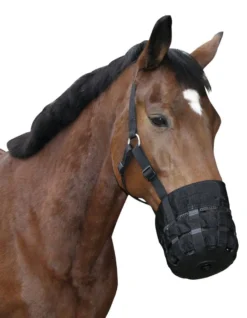 Fressbremse, Nylon