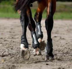 Gamaschen Carbon Chic, Hartschalengamaschen, Springgamaschen, recycelt