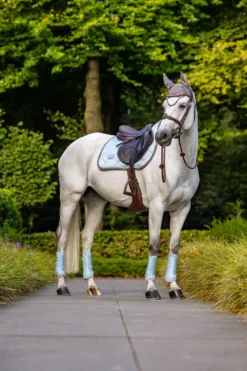 Gamaschen Classic Mesh Ice Blue, Dressurgamaschen