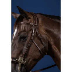 Genickstück für Hackamore, US-Kollektion