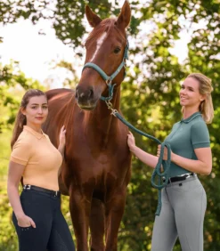 Gürtel Unisex Gemma FS26, Reitgürtel, Ledergürtel