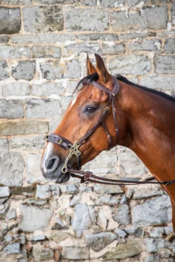 Hackamore Trense DC