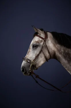 Hackamore Trense NEC