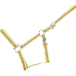 Halfter Basic, Nylonhalfter