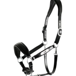 Halfter Fremont Pro, Lederhalfter, Putzhalfter