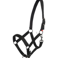 Halfter IRH, Jährlingshalfter, Nylonhalfter