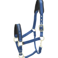 Halfter Nylon, Fohlenhalfter