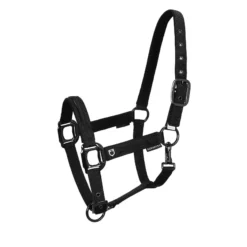 Halfter Set, Nylonhalfter, mit Führstrick