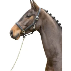 Halfter Ultrasoft, Lederhalfter
