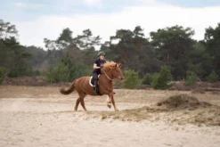 Halsring IRHFree Ride, Größenverstellbar