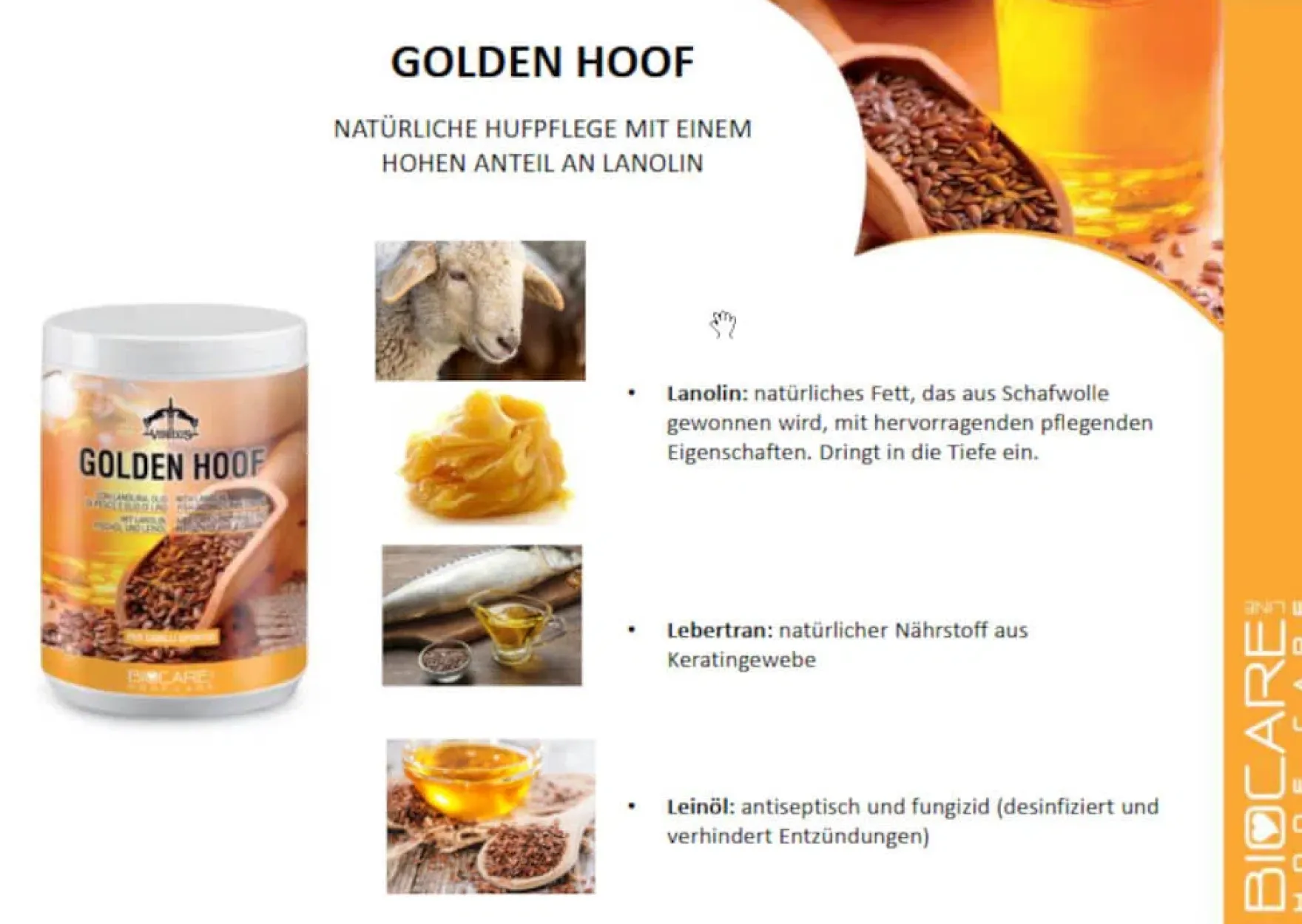 Huffett Golden Hoof, Hufpflege, Hufbalsam
