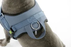 Hundegeschirr Maestro 2.0