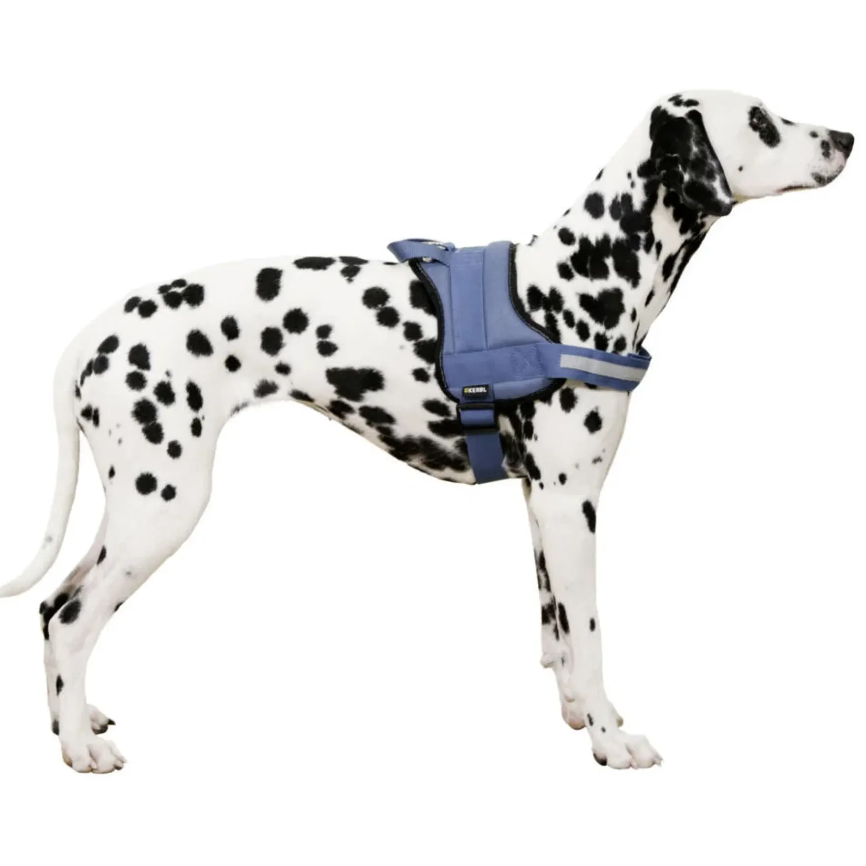 Hundegeschirr Maestro 2.0