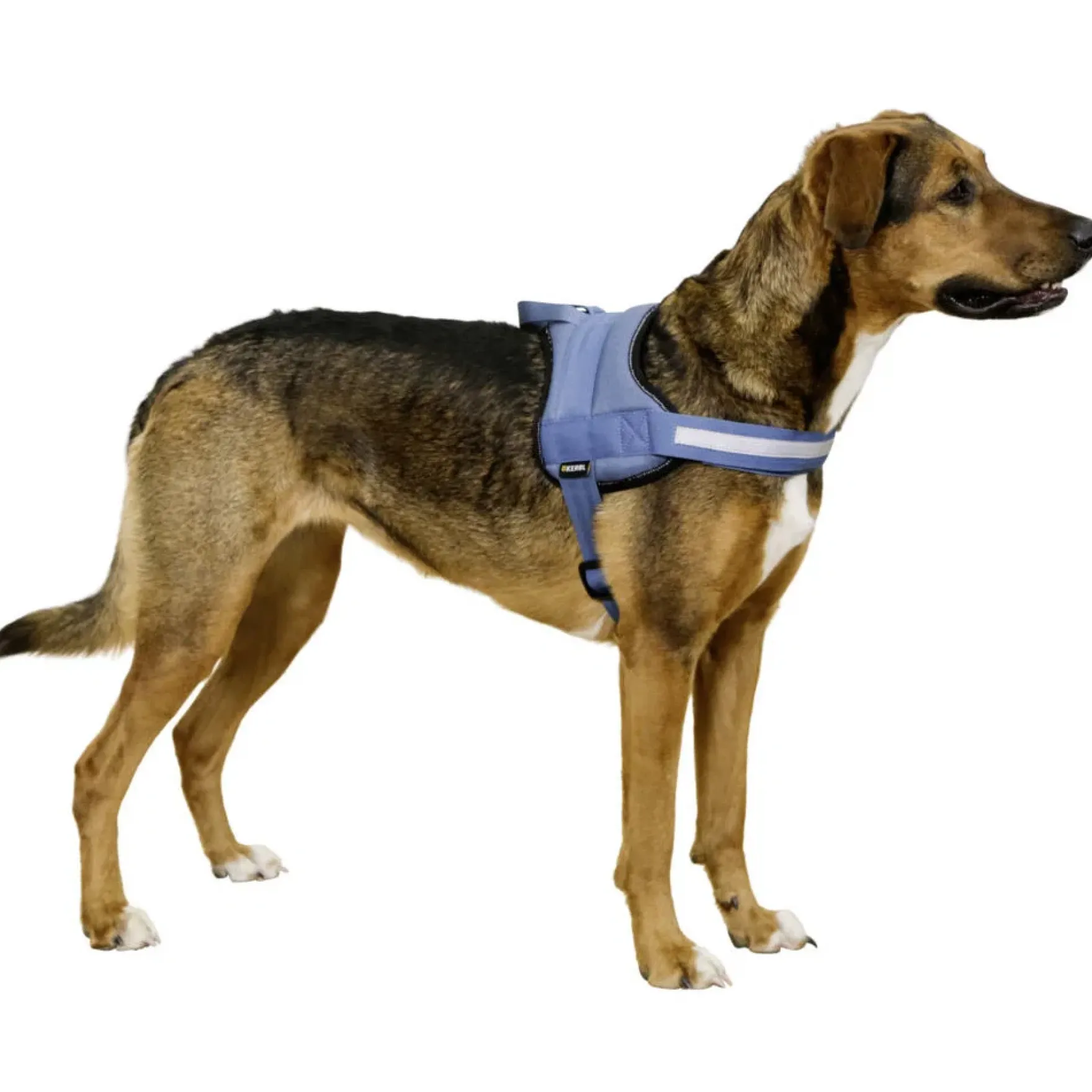 Hundegeschirr Maestro 2.0