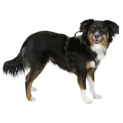 Hundegeschirr Pulsive