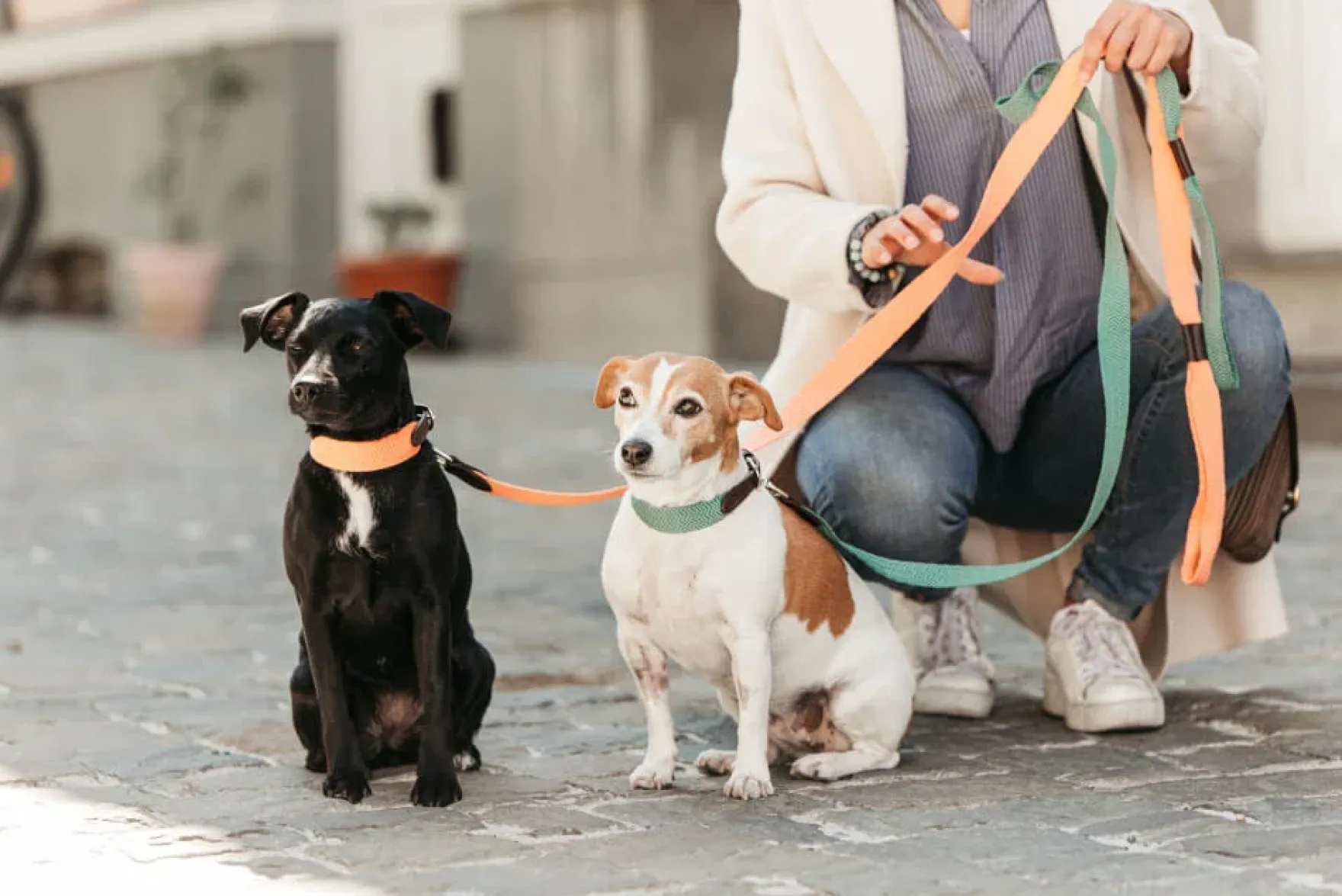 Hundehalsband Jacquard