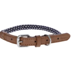 Hundehalsband Phoenix