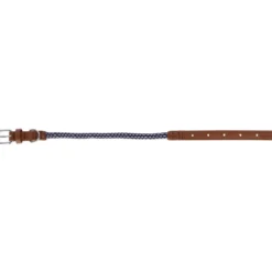 Hundehalsband Phoenix