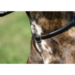 Hundehalsband Ultrasoft Rundgenäht, Lederhalsband, Ausbildungshalsband