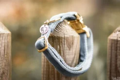 Hundehalsband Velvet