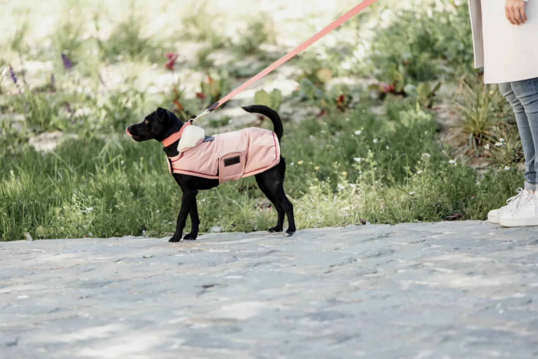 Hundemantel Waterproof, 160 g, Regenjacke, Hundejacke