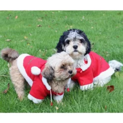Hundemantel Weihnachten