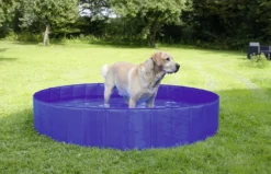 Hundepool