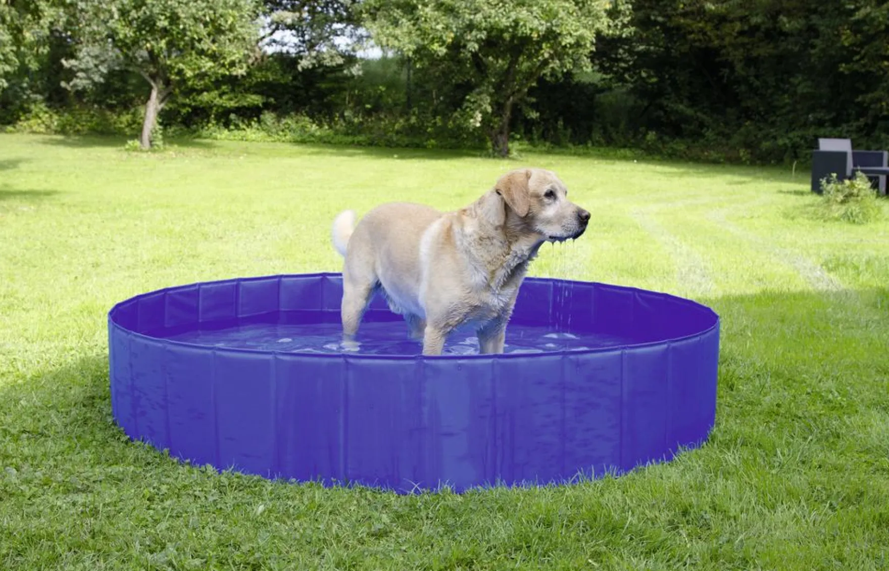 Hundepool