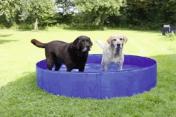 Hundepool