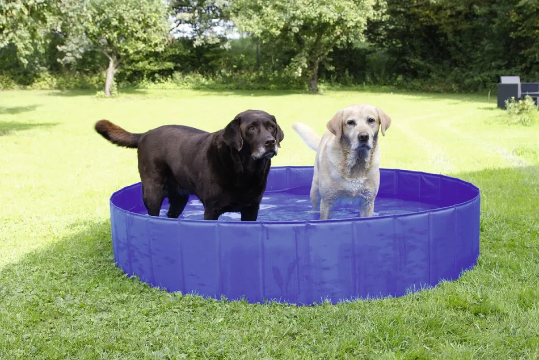 Hundepool