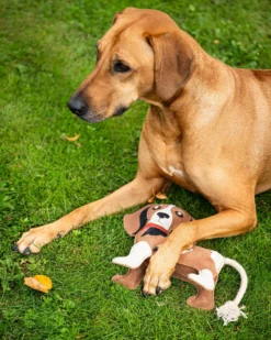 Hundespielzeug Stable Buddy