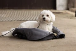Hundetasche KLMacey HW25, mit Kissen